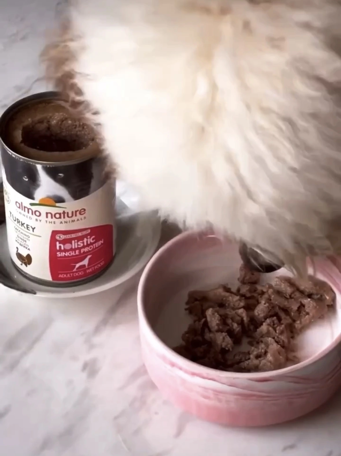 Almo Nature Hundefutter Platz 3