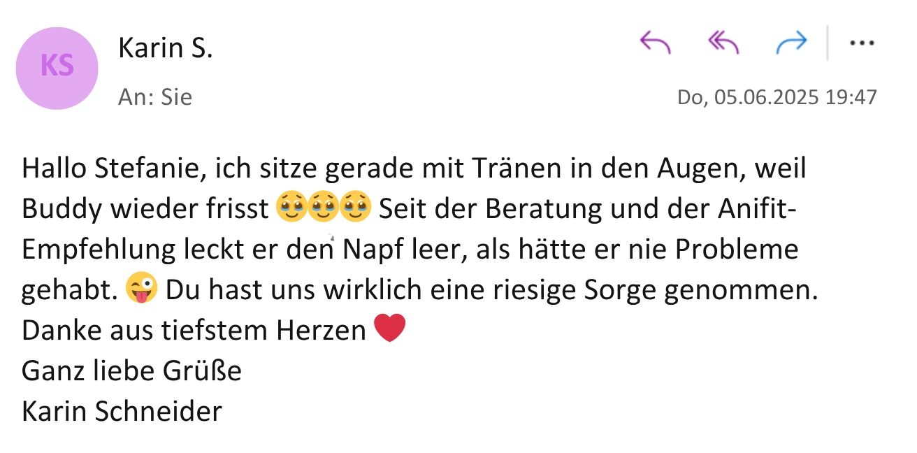 Anifit E-Mail Screenshot 2